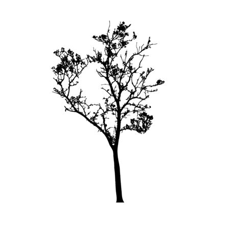Tree silhouettes on white background. Vector illustration design.のイラスト素材