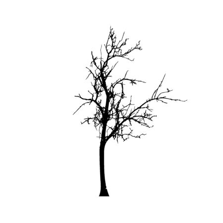 Tree silhouettes on white background. Vector illustration design.のイラスト素材