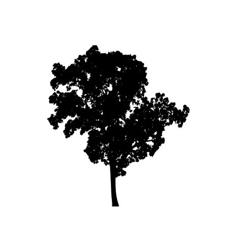 Tree silhouettes on white background. Vector illustration design.のイラスト素材