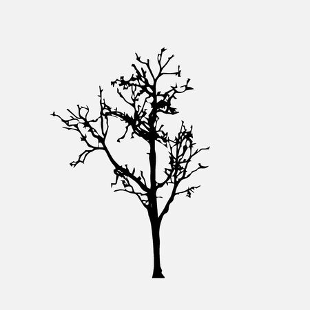 Tree silhouettes on white background. Vector illustration design.のイラスト素材
