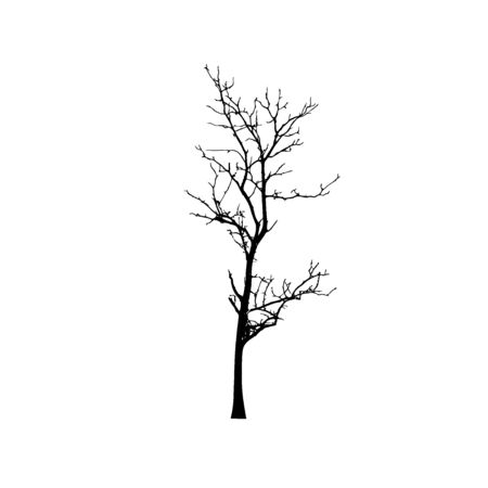 Tree silhouettes on white background. Vector illustration design.のイラスト素材