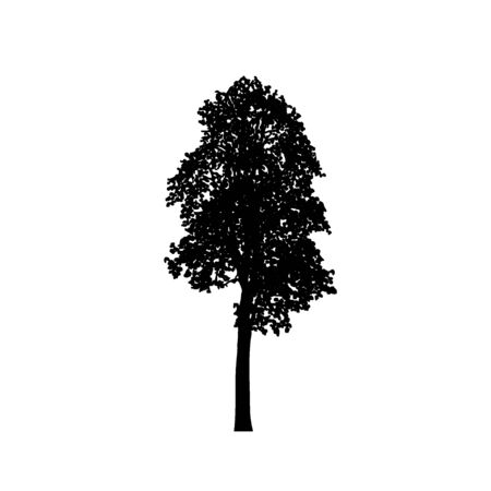 Tree silhouettes on white background. Vector illustration design.のイラスト素材