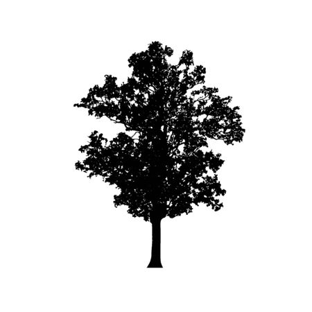 Tree silhouettes on white background. Vector illustration design.のイラスト素材