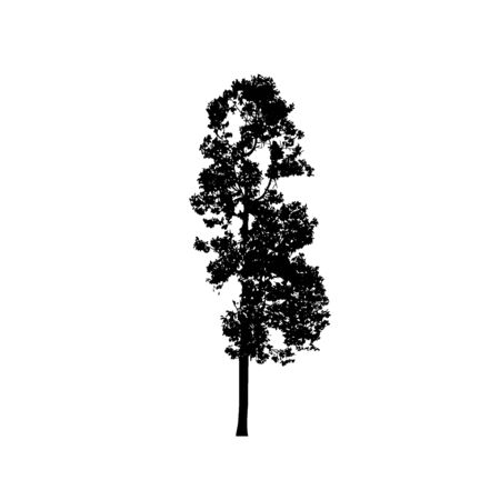 Tree silhouettes on white background. Vector illustration design.のイラスト素材