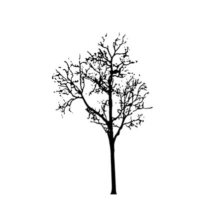 Tree silhouettes on white background. Vector illustration design.のイラスト素材