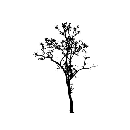 Tree silhouettes on white background. Vector illustration design.のイラスト素材
