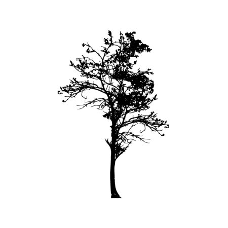 Tree silhouettes on white background. Vector illustration design.のイラスト素材