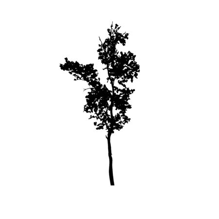 Tree silhouettes on white background. Vector illustration design.のイラスト素材