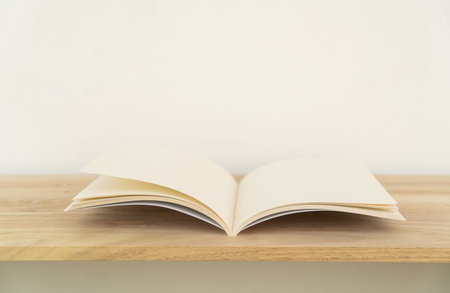 Blank catalog, magazines, book, mock up on wood background.