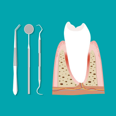 Dentist holding instruments and examining patient teeth. Teeth examination dentistry concept.Â のイラスト素材