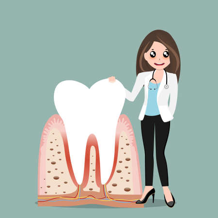 Dentist and Human teeth. Dental care background. Vector illustration.のイラスト素材