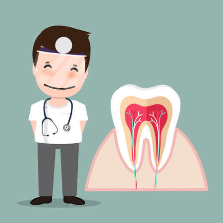 Dentist and Human teeth. Dental care background. Vector illustration.のイラスト素材