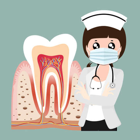 Dentist and Human teeth. Dental care background. Vector illustration.のイラスト素材