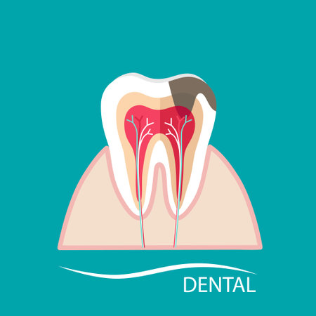Dentist holding instruments and examining patient teeth. Teeth examination dentistry concept.Â のイラスト素材