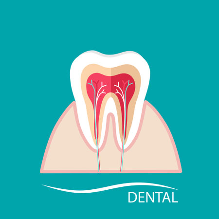 Dentist holding instruments and examining patient teeth. Teeth examination dentistry concept.Â のイラスト素材
