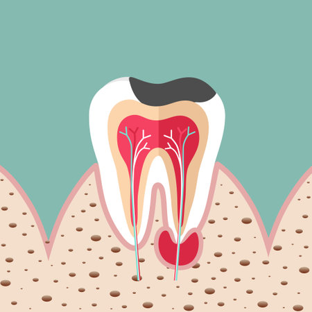Dentist holding instruments and examining patient teeth. Teeth examination dentistry concept.Â のイラスト素材