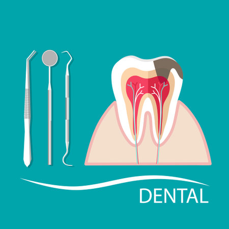 Dental instruments and Tooth. Teeth examination dentistry concept.Â のイラスト素材