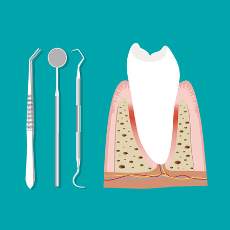Dental instruments and Tooth. Teeth examination dentistry concept.Â のイラスト素材