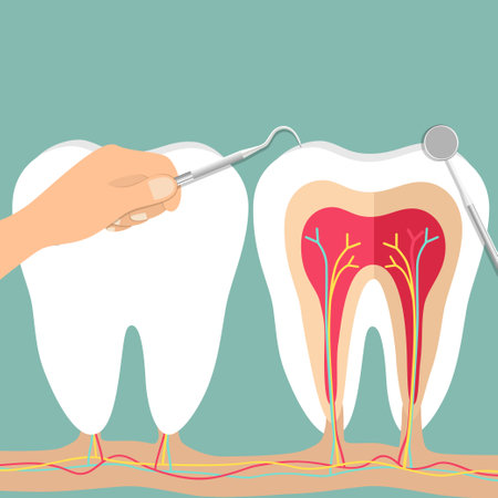 Dental instruments and Tooth. Teeth examination dentistry concept.Â のイラスト素材