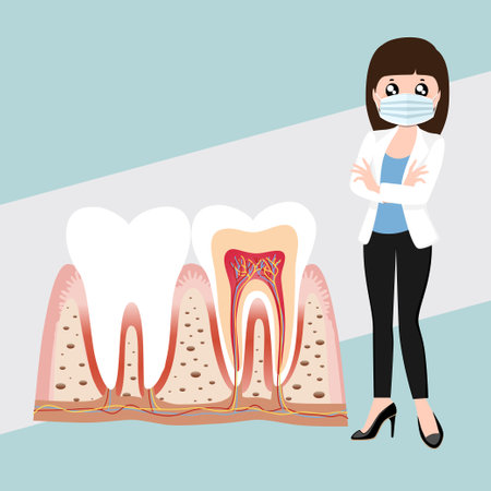 Dental instruments and Tooth. Teeth examination dentistry concept.Â のイラスト素材