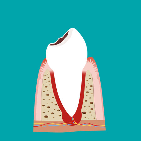 Dental instruments and Tooth. Teeth examination dentistry concept.Â のイラスト素材