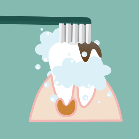Dental instruments and Tooth. Teeth examination dentistry concept.Â のイラスト素材