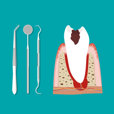 Hand holding instruments for examining patient teeth and Hand holding Toothbrushのイラスト素材