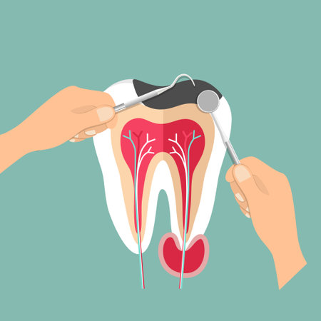 Dentist and Human teeth. Dental care background. Vector illustrationのイラスト素材