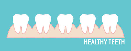 Dentist holding instruments and examining patient teeth. Patient mouth inside view. Teeth examination dentistry concept.Â のイラスト素材