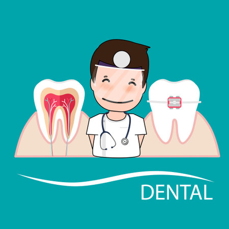 Dentist and Human teeth. Dental care background. Vector illustration.のイラスト素材