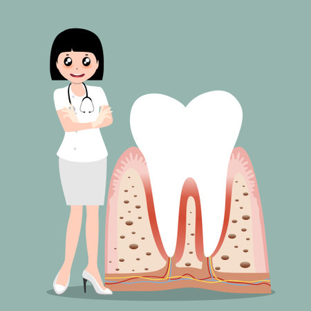 Dentist and Human teeth. Dental care background. Vector illustration.のイラスト素材