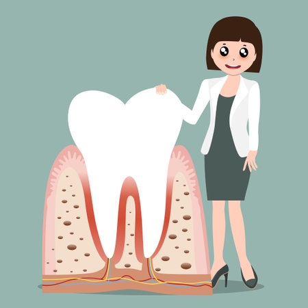 Dentist and Human teeth. Dental care background. Vector illustration.のイラスト素材