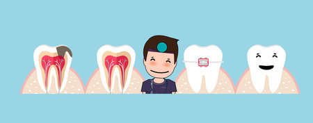 Dentist and Human teeth. Dental care background. Vector illustrationのイラスト素材