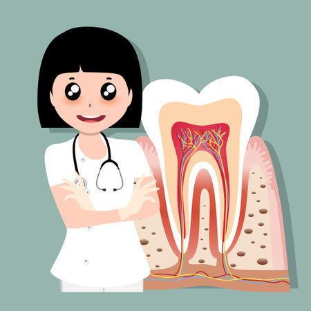 Dentist and Human teeth. Dental care background. Vector illustration.のイラスト素材
