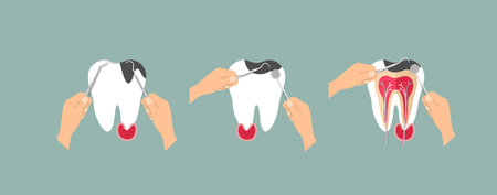 Dentist and Human teeth. Dental care background. Vector illustrationのイラスト素材