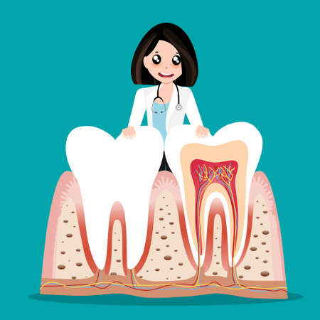 Dentist holding instruments and examining patient teeth. Patient mouth inside view. Teeth examination dentistry concept.Â のイラスト素材