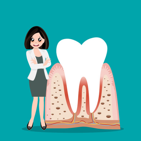 Dentist holding instruments and examining patient teeth. Patient mouth inside view. Teeth examination dentistry concept.Â のイラスト素材