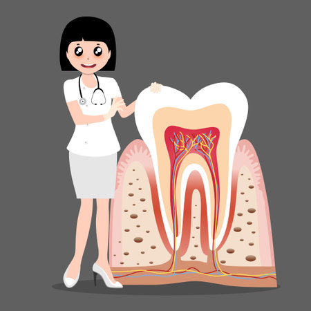 Dentist holding instruments and examining patient teeth. Patient mouth inside view. Teeth examination dentistry concept.Â のイラスト素材