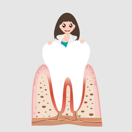 Dentist and Human teeth. Dental care background. Vector illustrationのイラスト素材