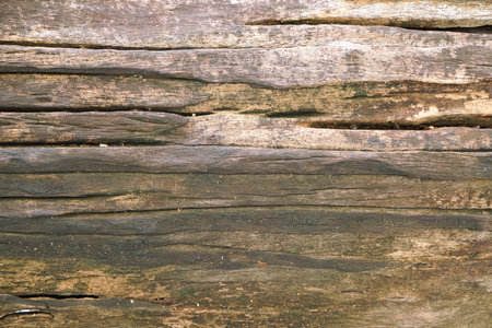 Brown wooden texture. Old wood background.の写真素材
