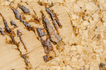 Cork floor closeup as a backgroundの写真素材