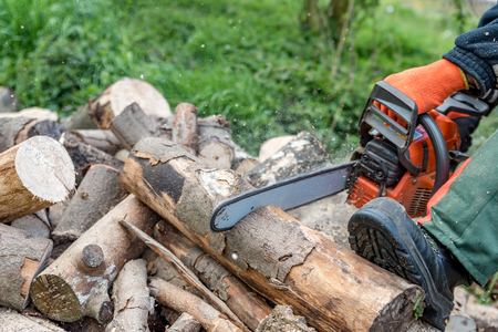 Firewood saws with a chainsawの写真素材