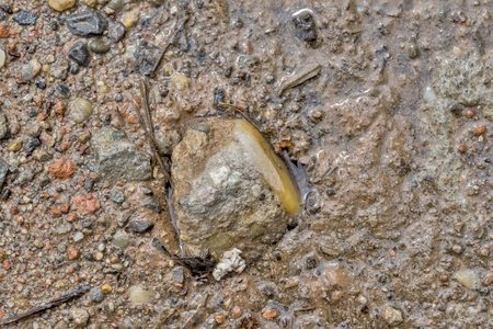 Wet sand bottom with a pebble as backgroundの写真素材