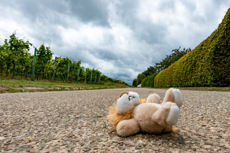 Children's toys are on the streetの写真素材