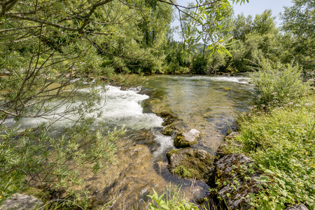 German mountain stream flowing through the forestの写真素材