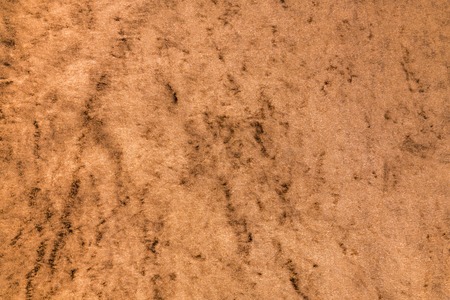 Light brown glossy velvet fabric format filling as backgroundの写真素材