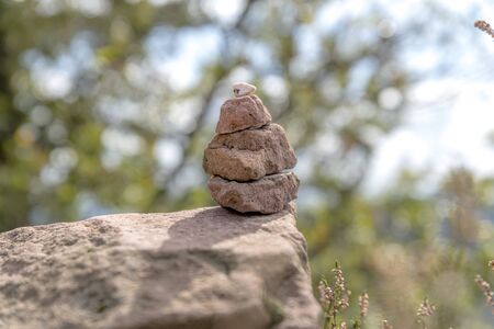 Signpost of sandstones placed on the forest floor with pine needles and moss against a blurred backgroundの写真素材