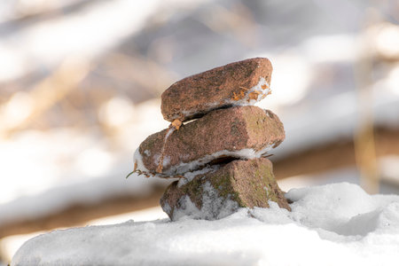 Signpost of sandstones placed on the forest floor with snow against a blurred backgroundの写真素材