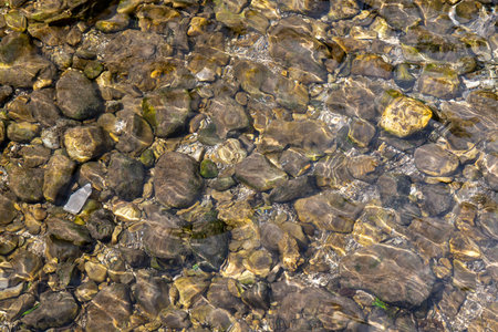 Pebbles under the water surface of a stream
