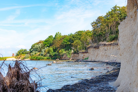 Waves on the cliff coast of the Baltic Sea with algaeの写真素材